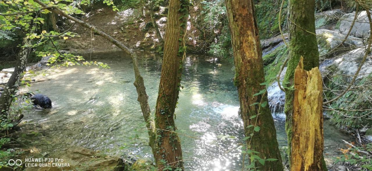 Allotjaments Rurals Can Punti Vallfogona de Ripollès Exterior foto
