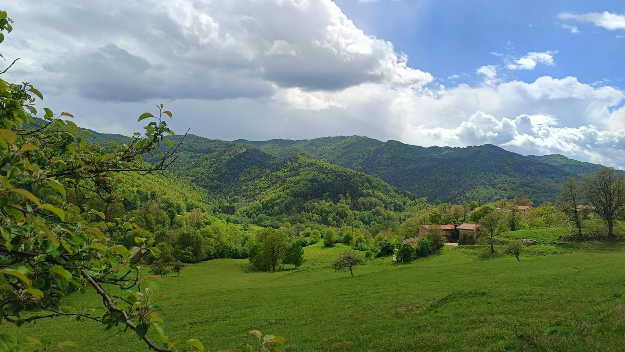 Allotjaments Rurals Can Punti Vallfogona de Ripollès Exterior foto