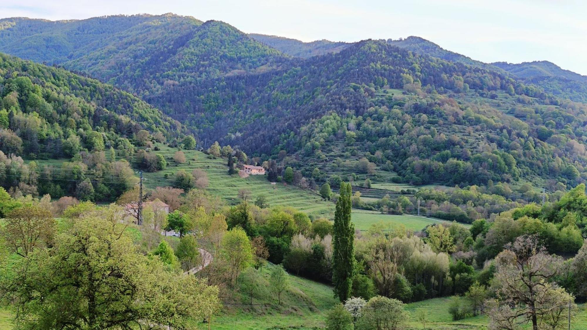 Allotjaments Rurals Can Punti Vallfogona de Ripollès Exterior foto