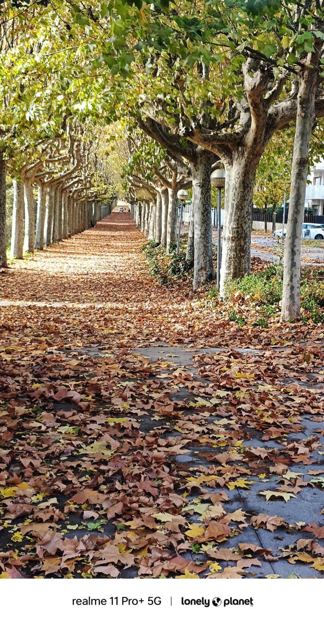 Allotjaments Rurals Can Punti Vallfogona de Ripollès Exterior foto