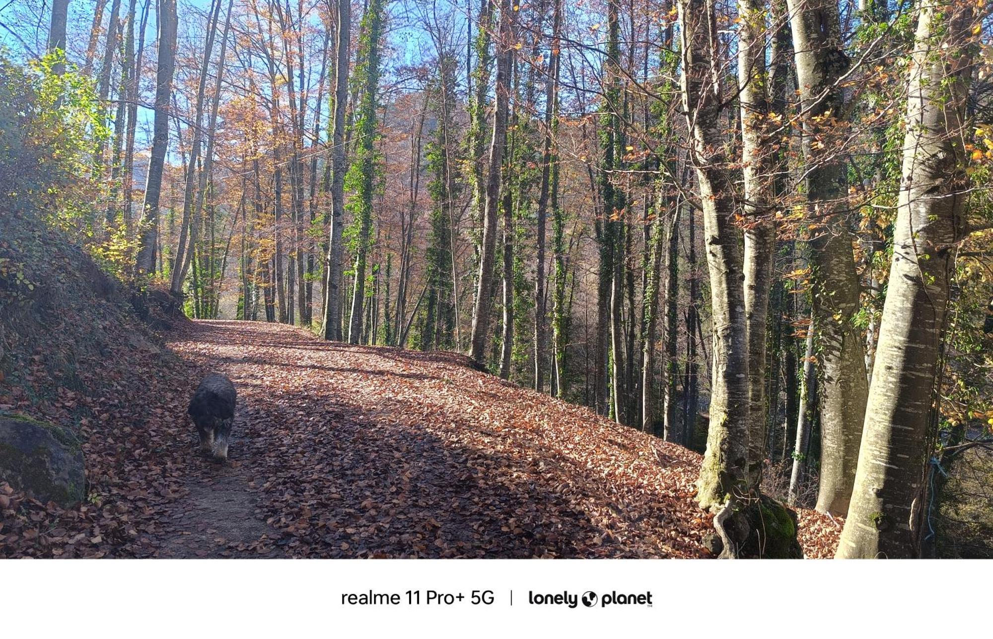 Allotjaments Rurals Can Punti Vallfogona de Ripollès Exterior foto
