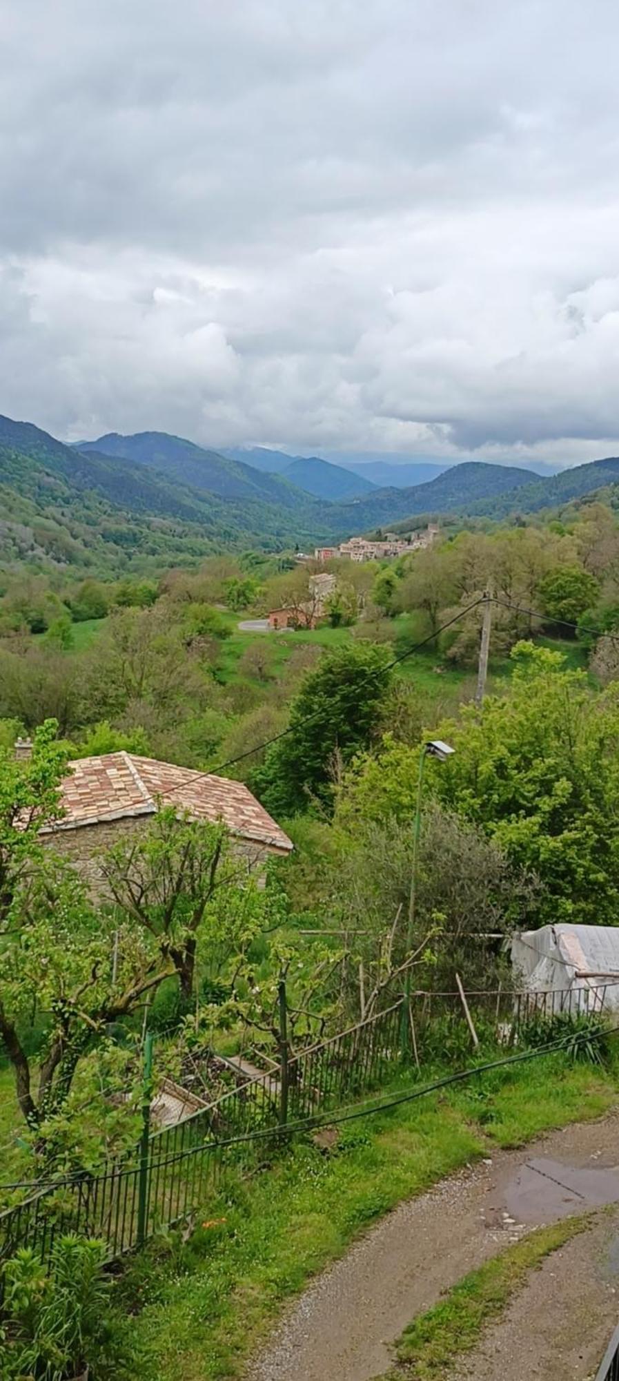 Allotjaments Rurals Can Punti Vallfogona de Ripollès Exterior foto