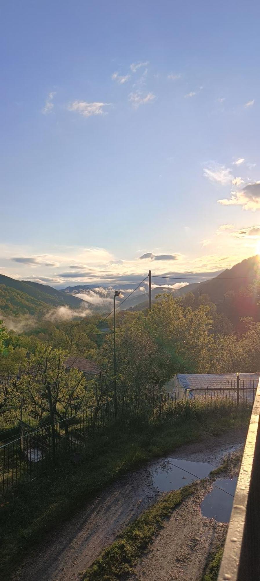 Allotjaments Rurals Can Punti Vallfogona de Ripollès Exterior foto