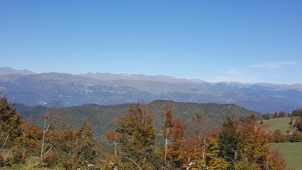 Allotjaments Rurals Can Punti Vallfogona de Ripollès Exterior foto