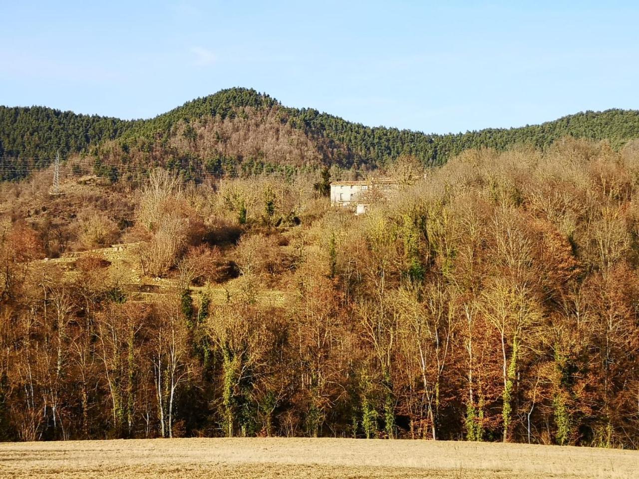 Allotjaments Rurals Can Punti Vallfogona de Ripollès Exterior foto